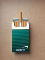 NewPort MENTHOL BOX 100S 2 carton